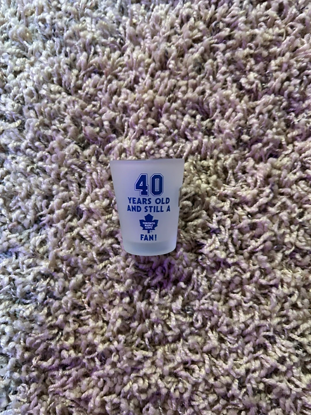 Toronto Maple Leafs Shot Glass