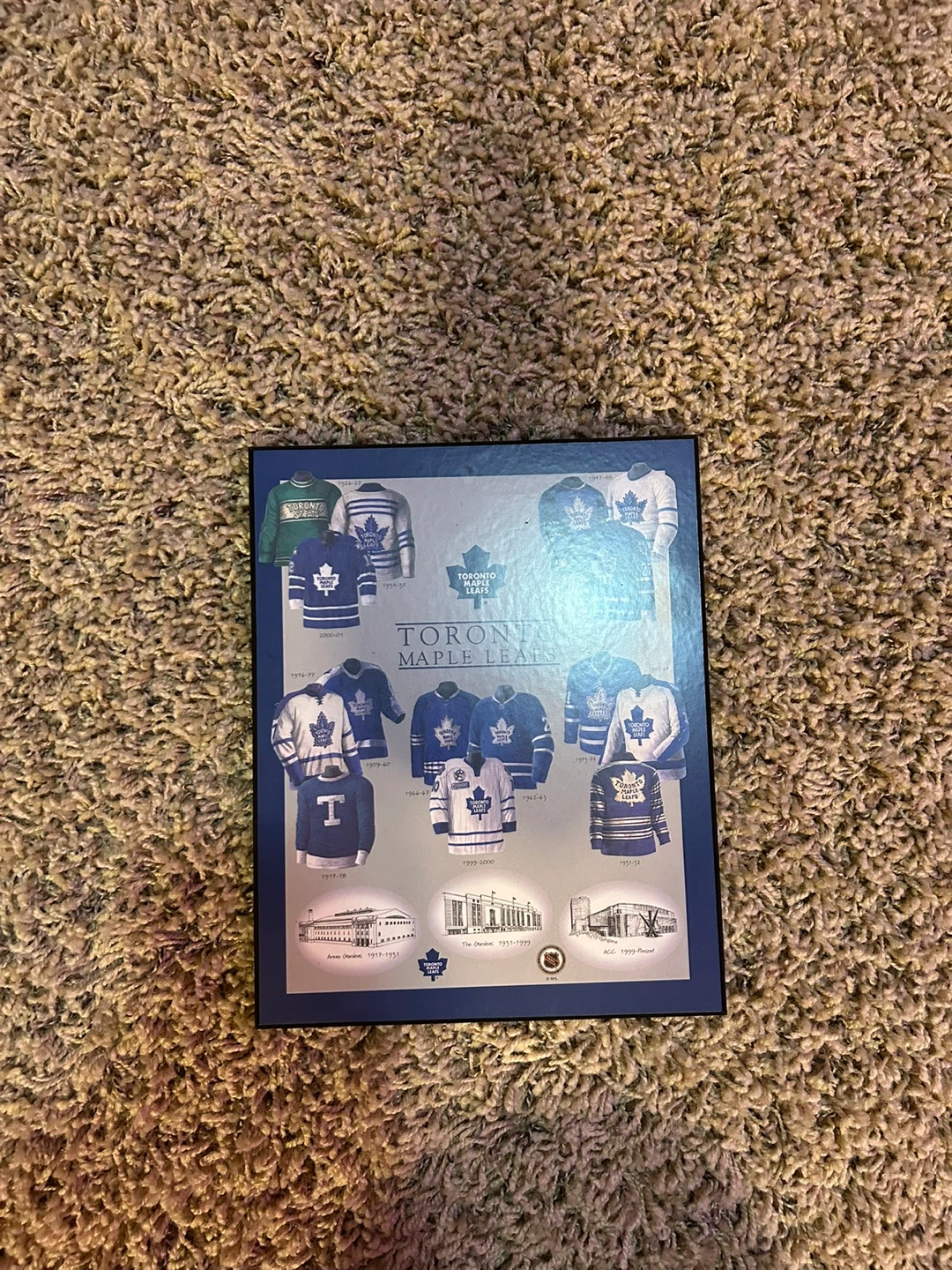 Toronto Maple Leafs Jersey History Wall Plaque