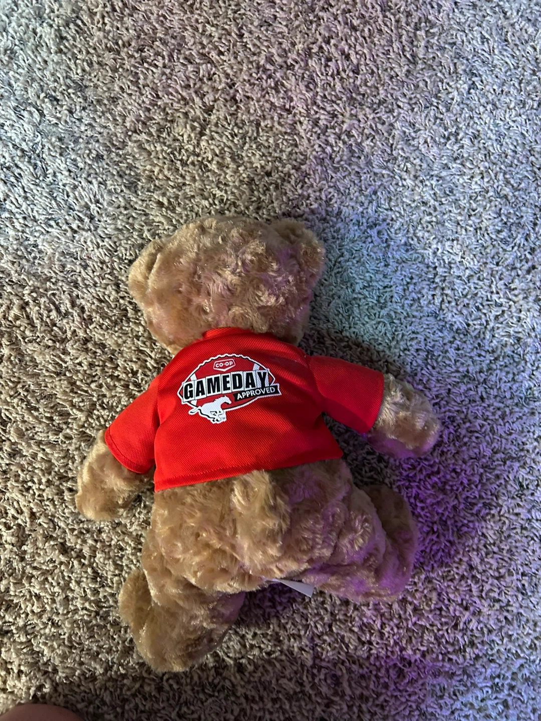 Co-op Gameday Approved Stampeders Plush Bear - photo 2