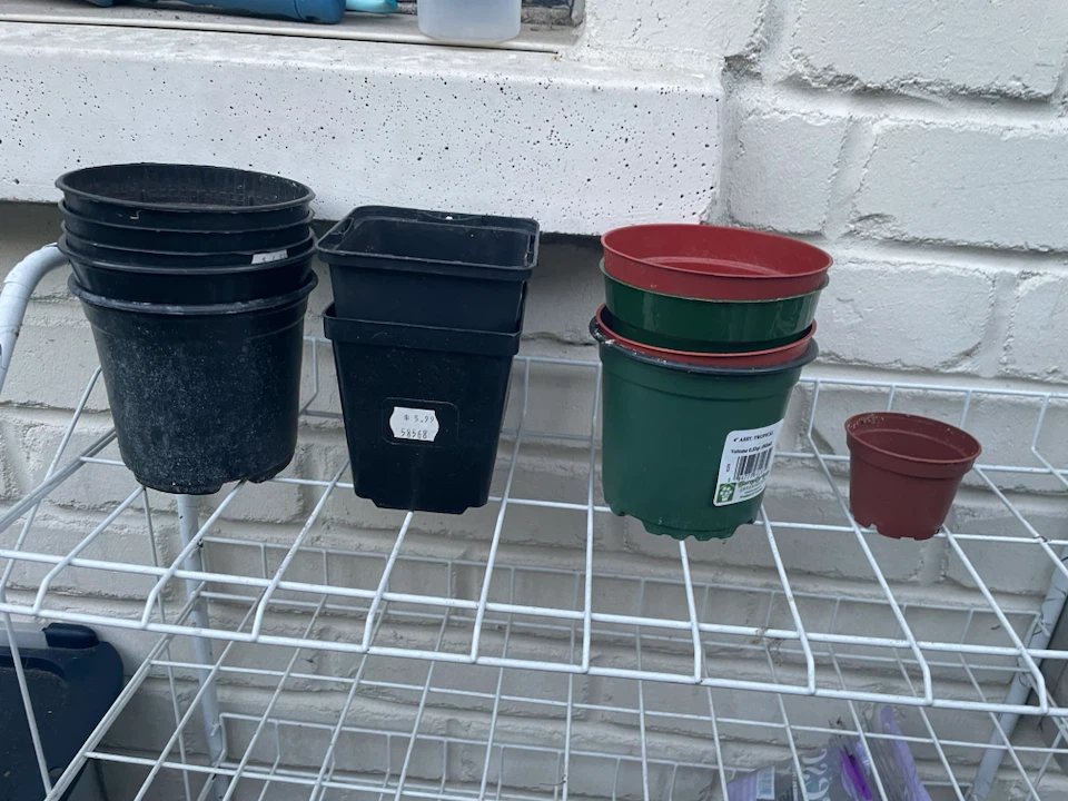 Assorted Plastic Plant Pots