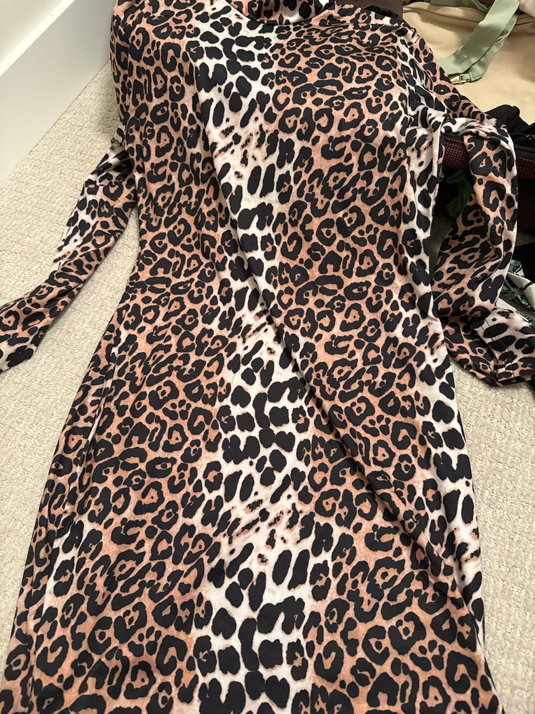 Leopard Print Mock Neck Long Sleeve Dress
