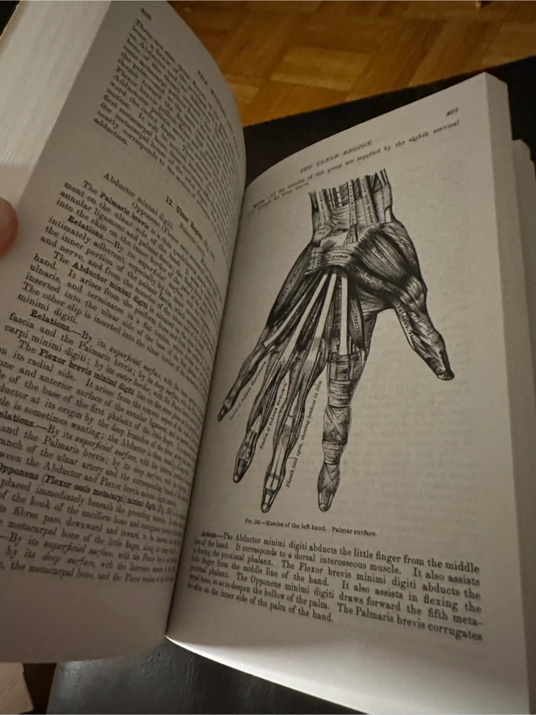 Gray's Anatomy Unabridged Running Press Edition - photo 4