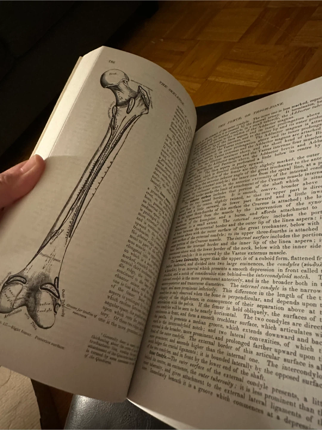 Gray's Anatomy Unabridged Running Press Edition - photo 5