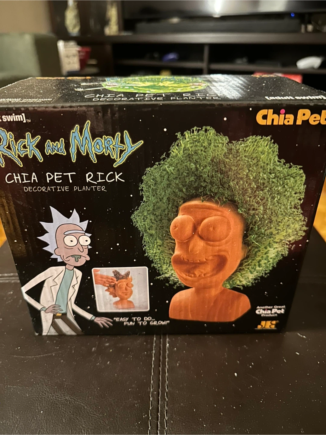Rick and Morty Chia Pet Decorative Planter