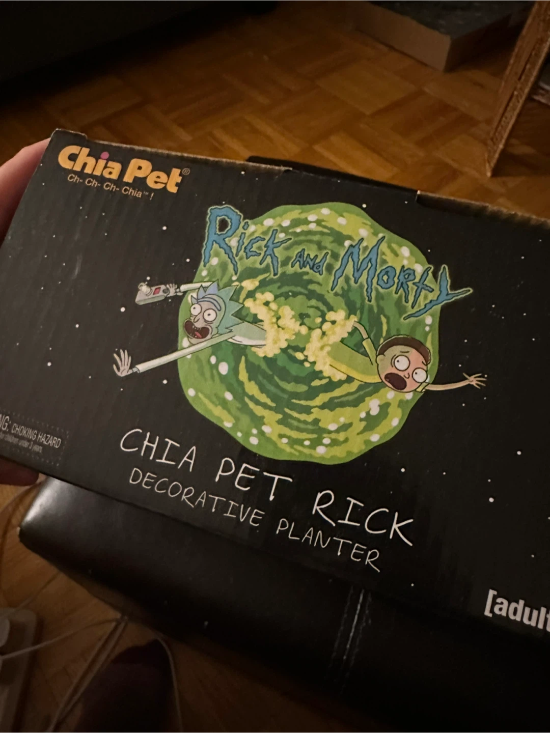 Rick and Morty Chia Pet Decorative Planter - photo 2