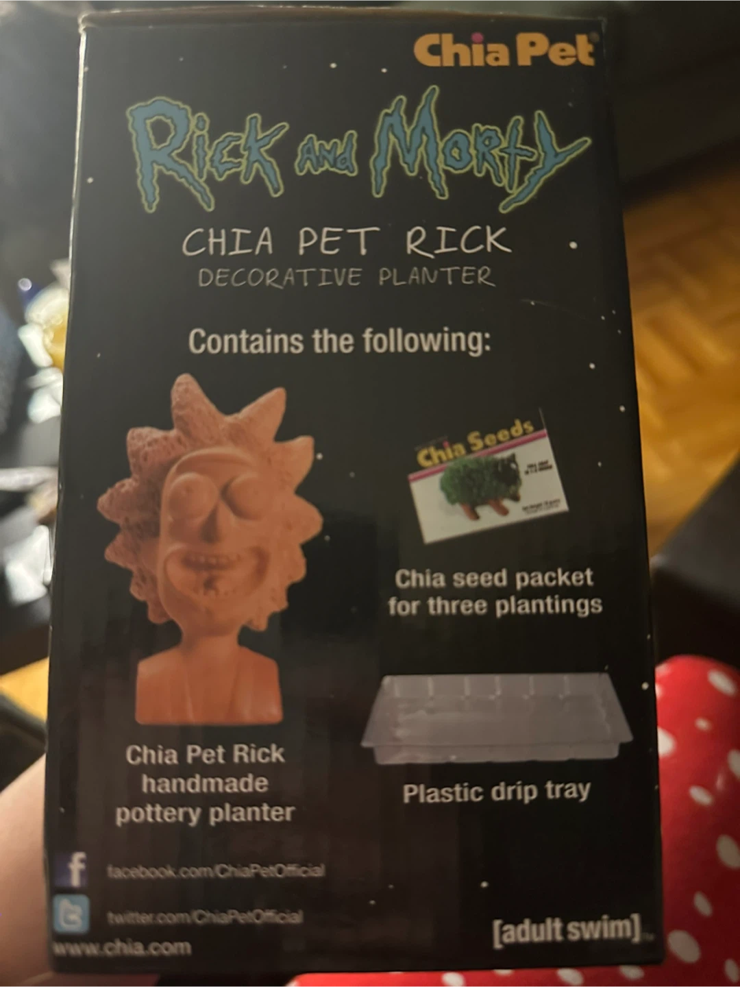 Rick and Morty Chia Pet Decorative Planter - photo 3