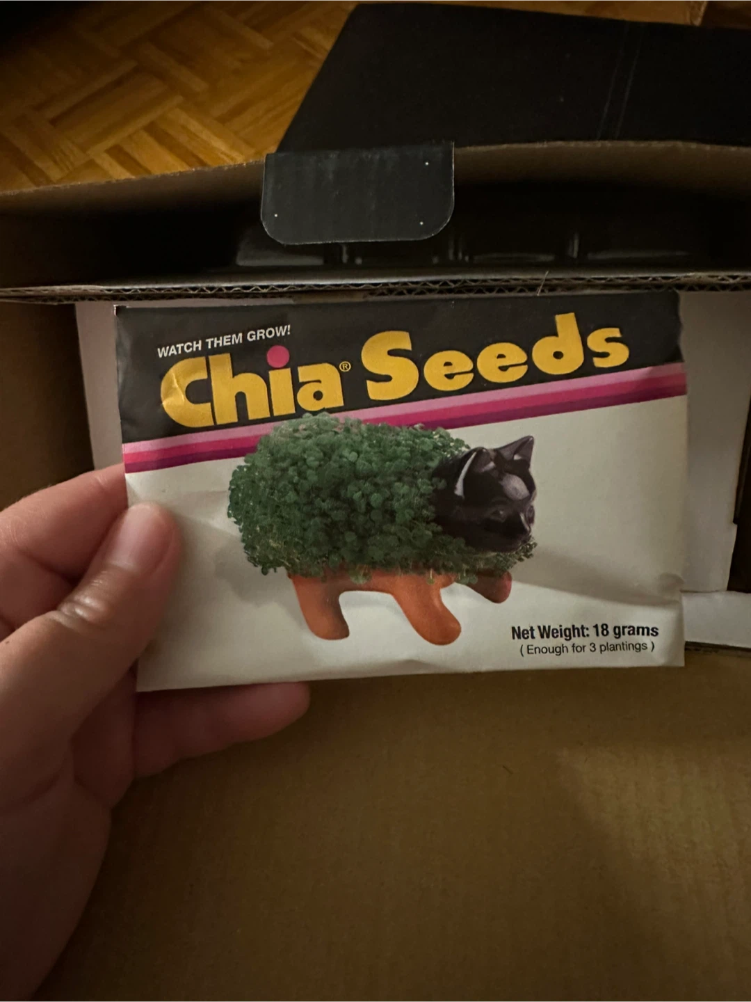 Rick and Morty Chia Pet Decorative Planter - photo 5