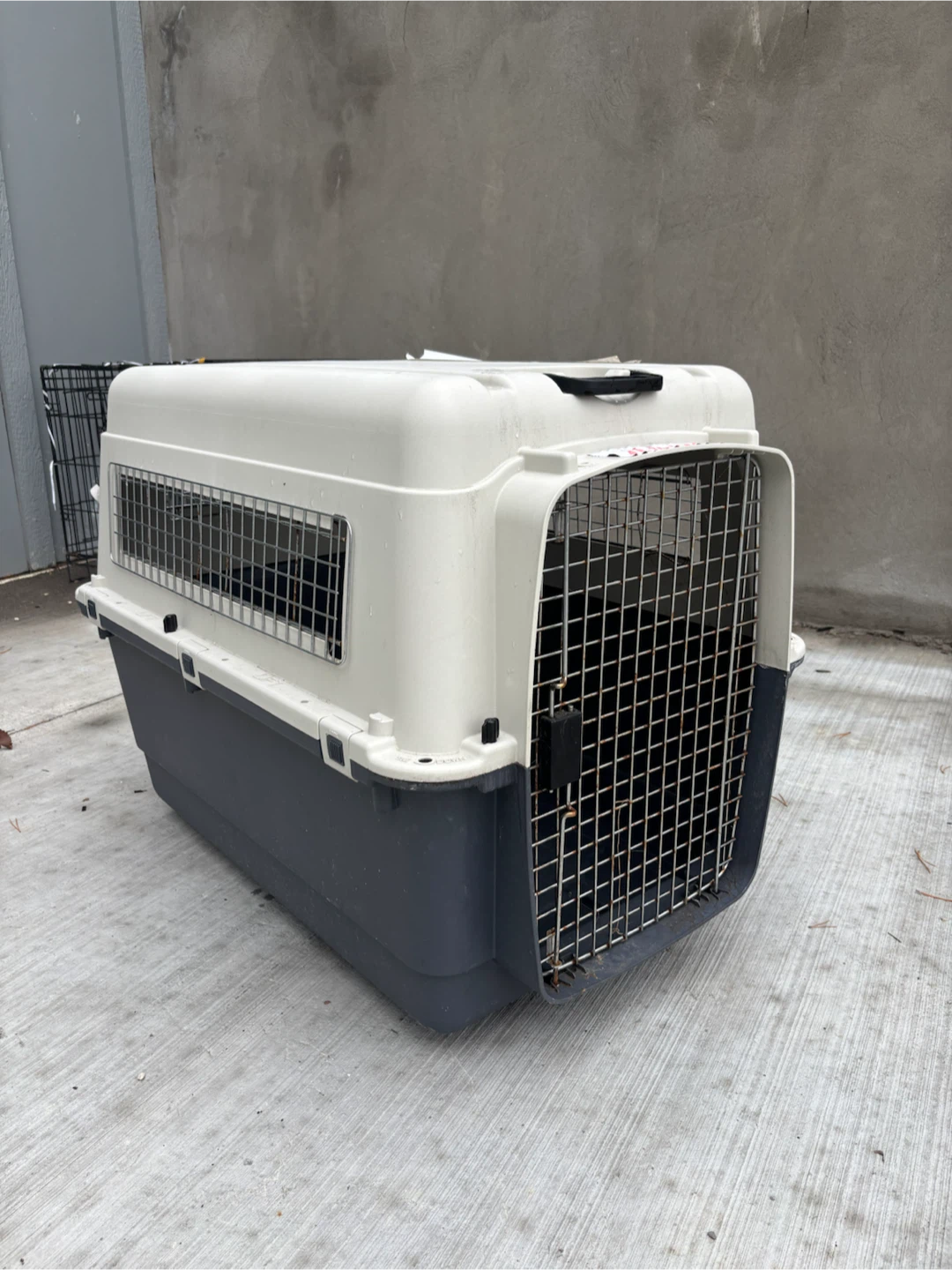 Petmate Plastic Dog Crate