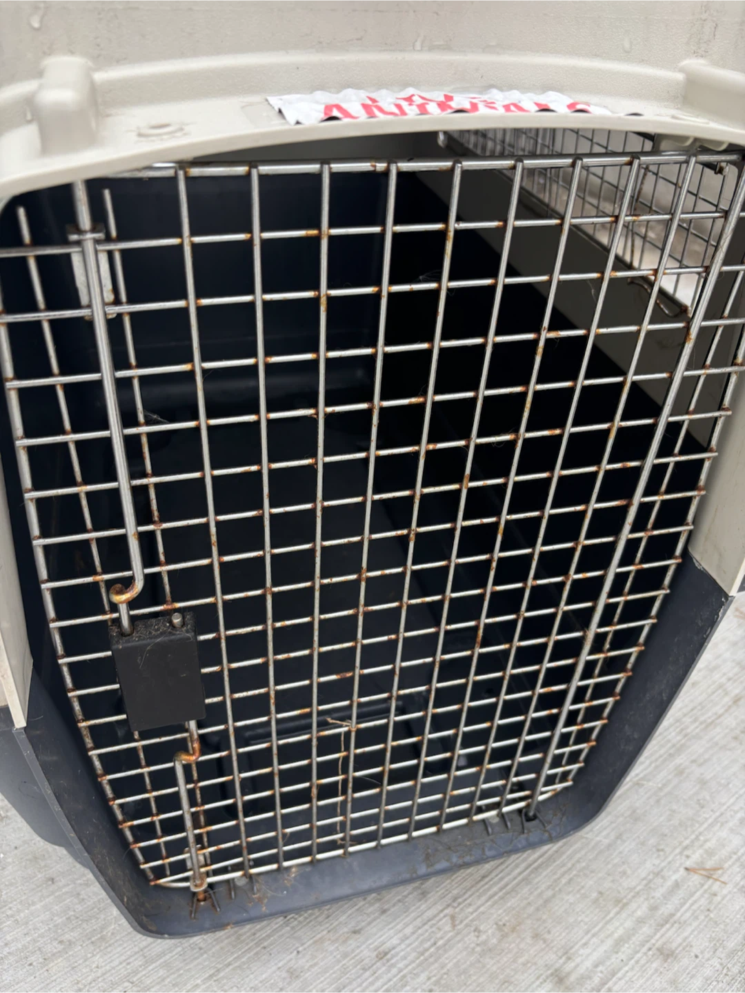 Petmate Plastic Dog Crate - photo 5