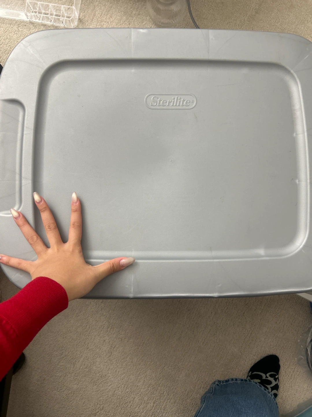 Sterilite storage bin - photo 3