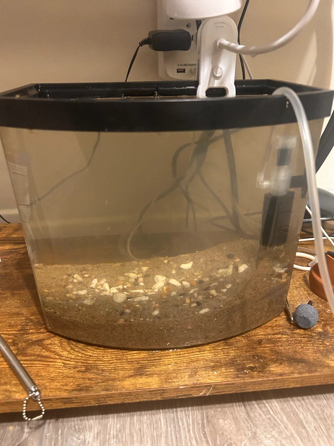 10 Gallon Glass Fish Tank Need to sell asap