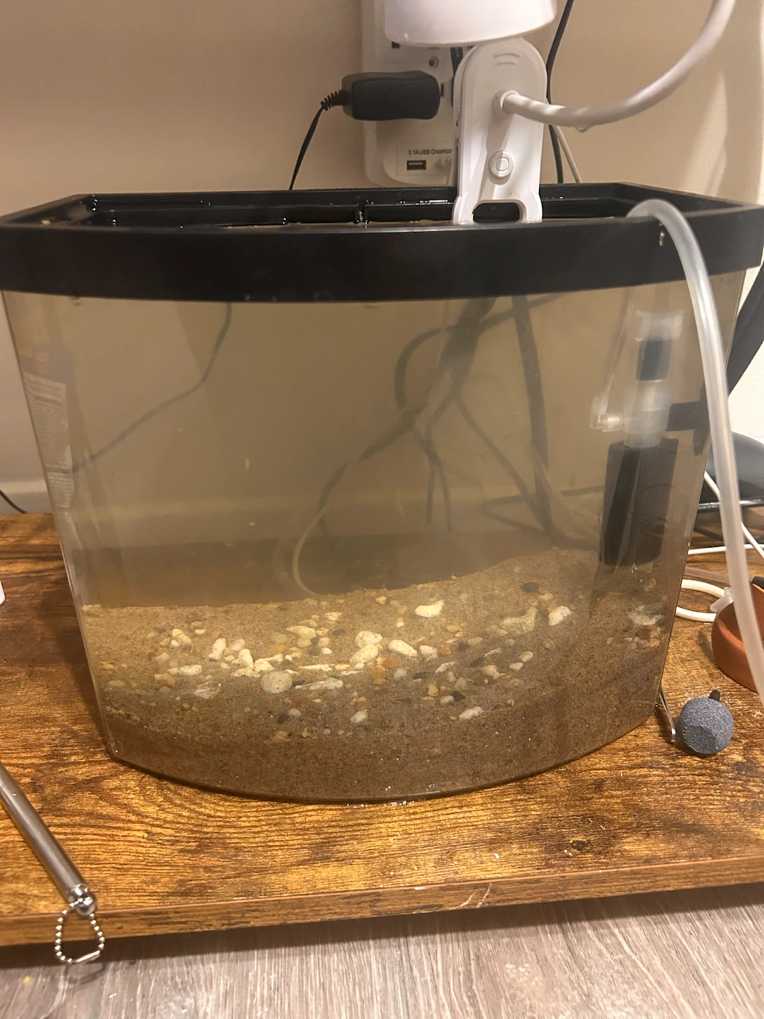 10 Gallon Glass Fish Tank Need to sell asap - photo 2