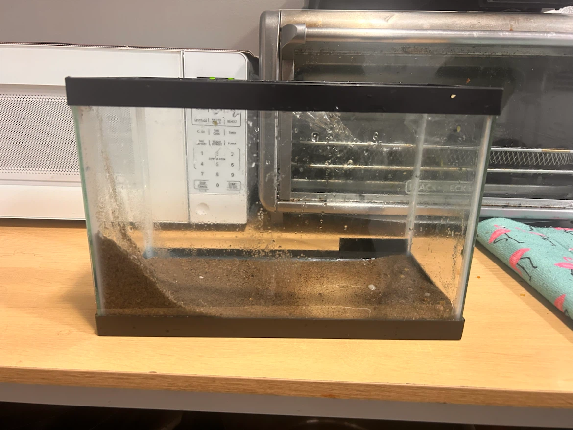10 Gallon Glass Fish Tank Need to sell asap - photo 4