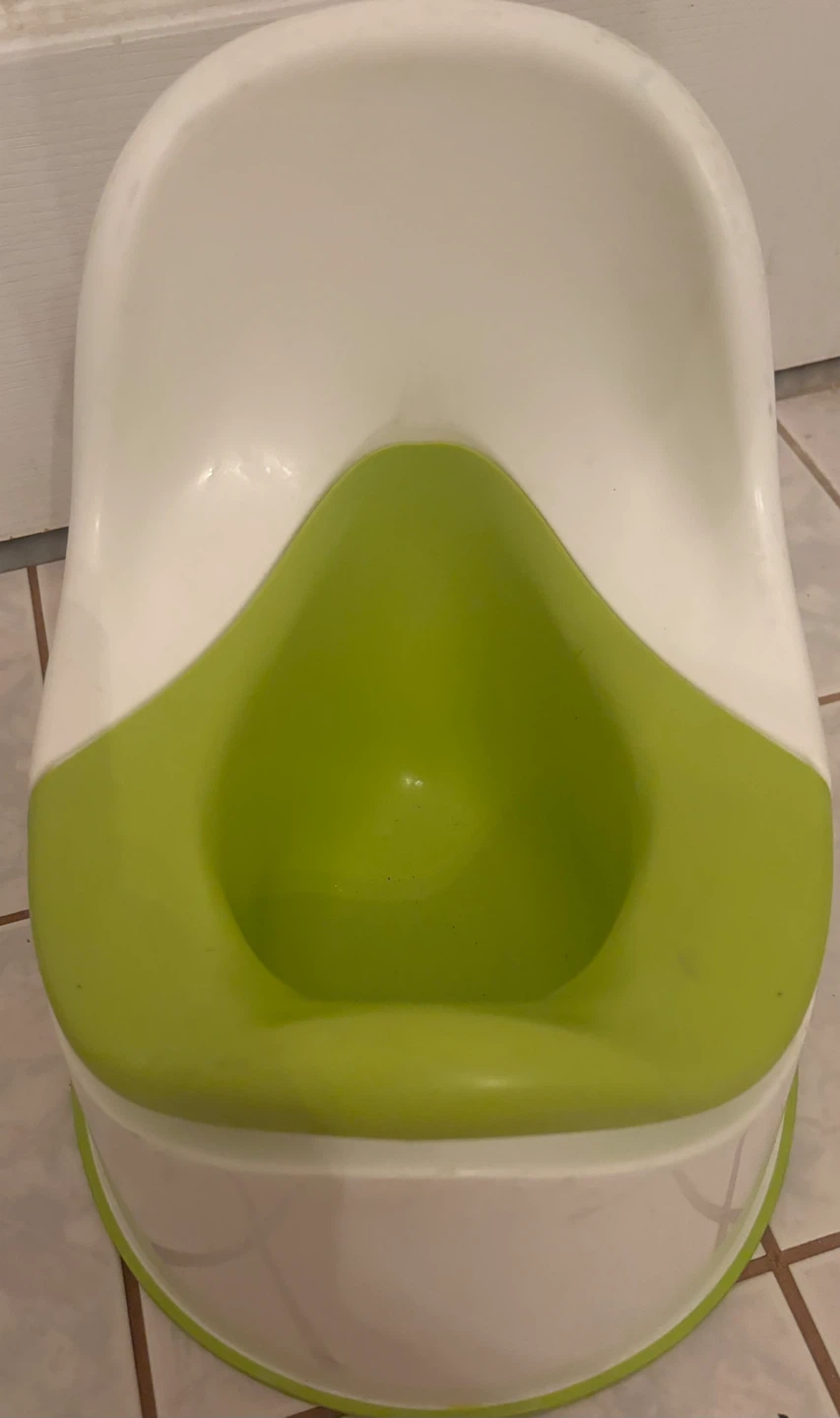 Child’s potty trainer