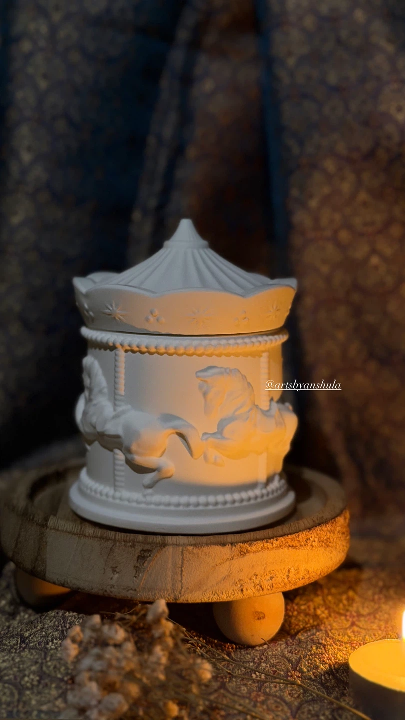Carousel Storage Box