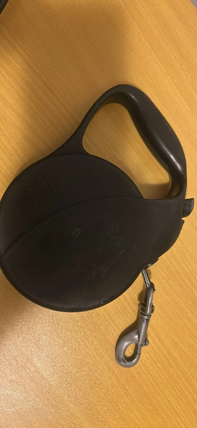 Flexi Long Retractable Dog Leash - photo 2