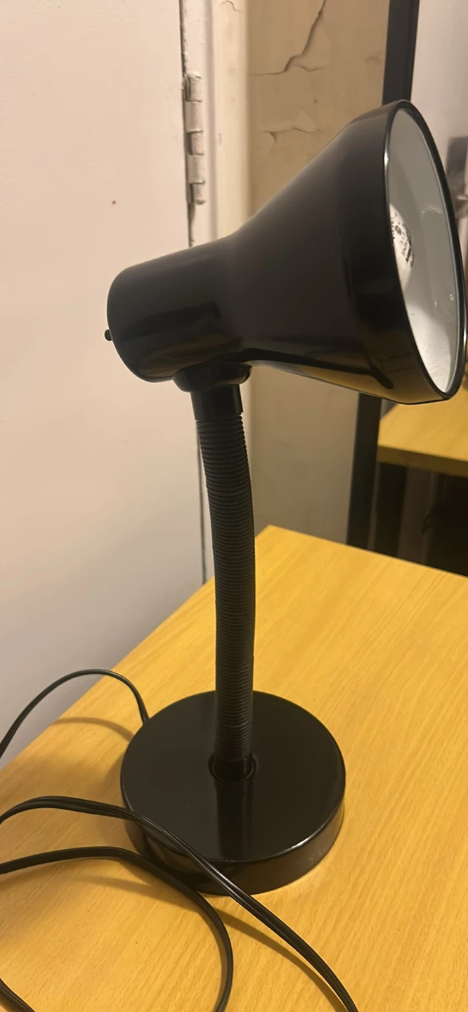 Goose Neck Lamp