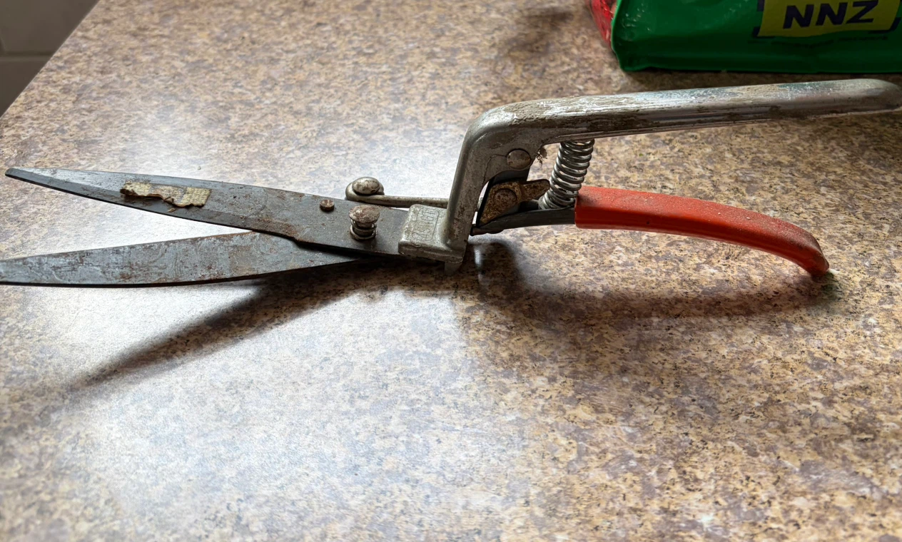 Vintage Metal Grass Shears