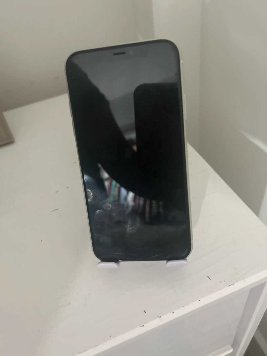Capybara phone stand