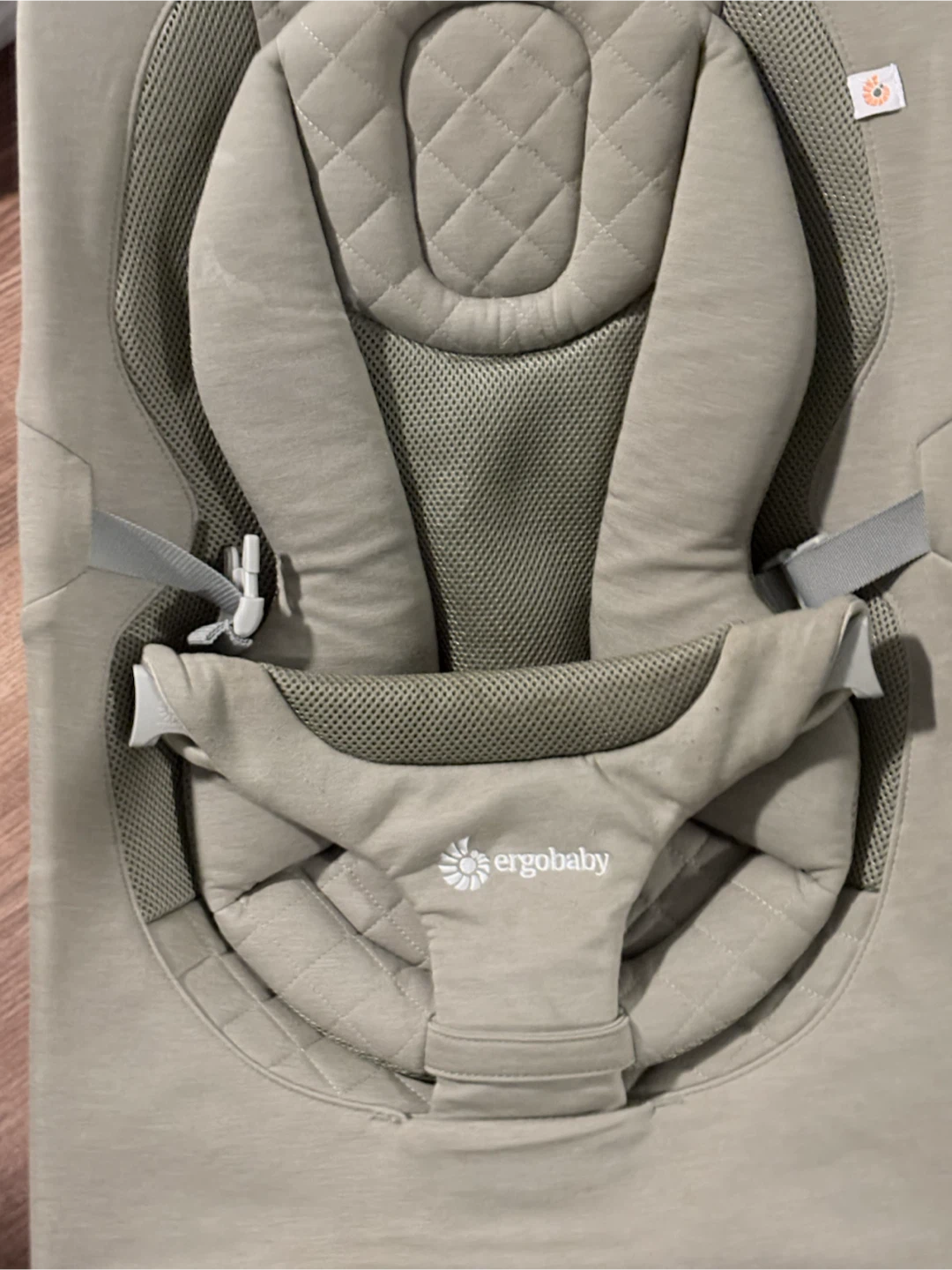 Ergobaby Evolve Bouncer