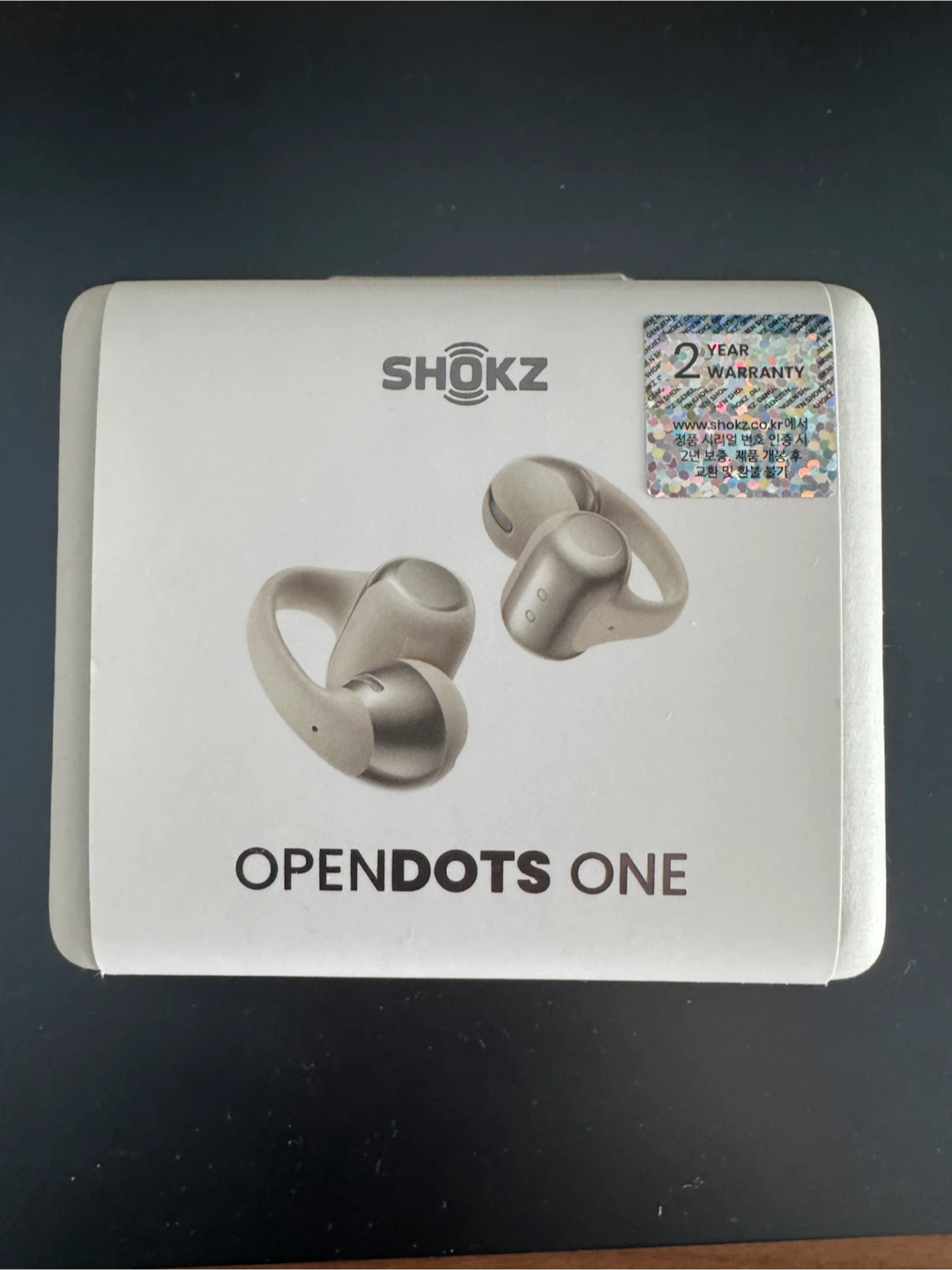 Shokz OpenDots One – Grey (Brand New & Sealed)