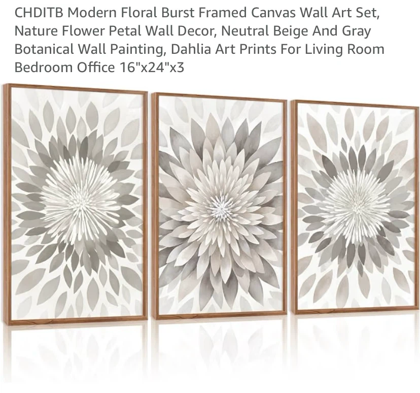 New Modern Floral Burst Framed Canvas Wall Art Set 16”x24”