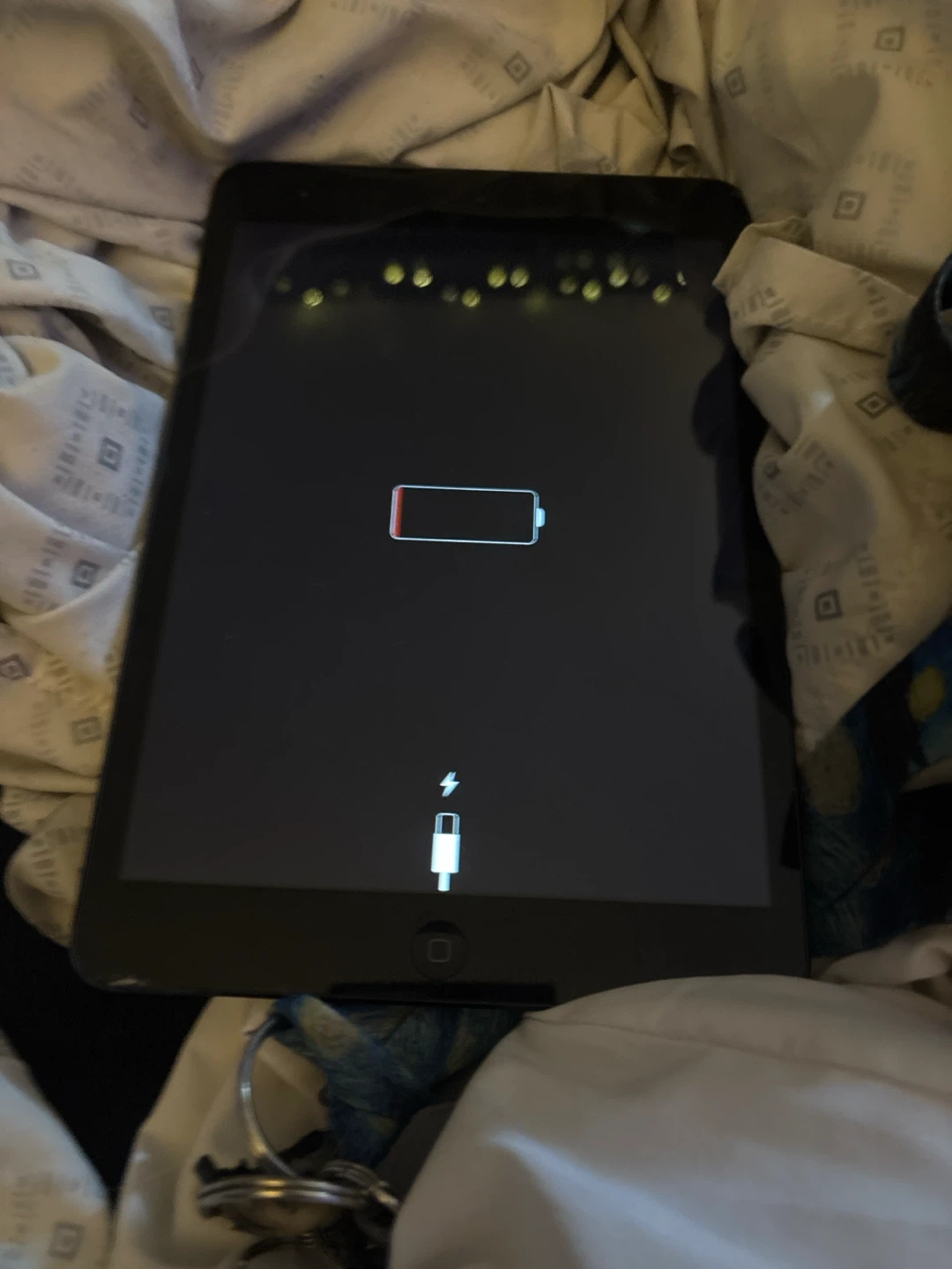 Apple iPad