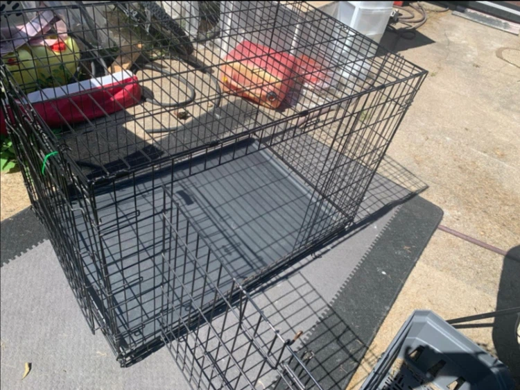 Top Paw 42-inch Double-Door Folding Dog Crate