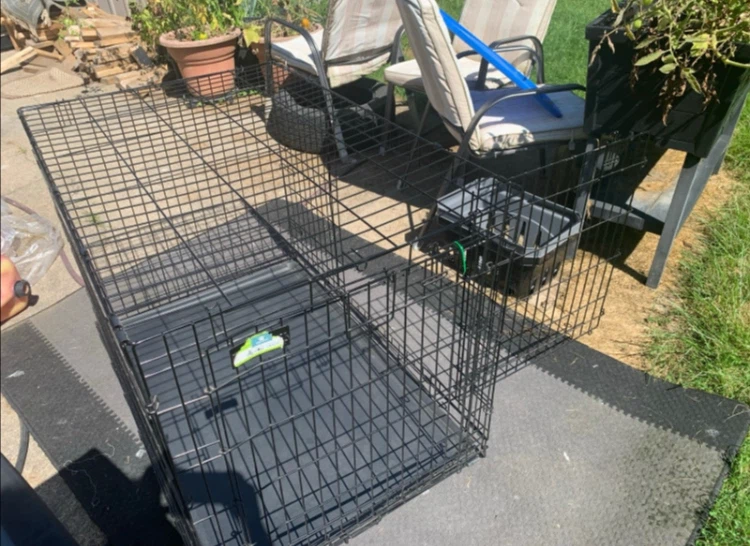 Top Paw 42-inch Double-Door Folding Dog Crate - photo 2