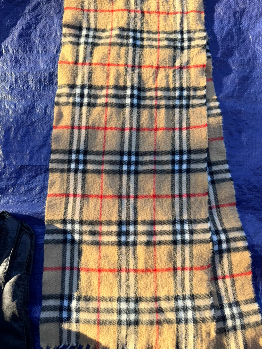 Burberry Scarf and Leather Gloves Set