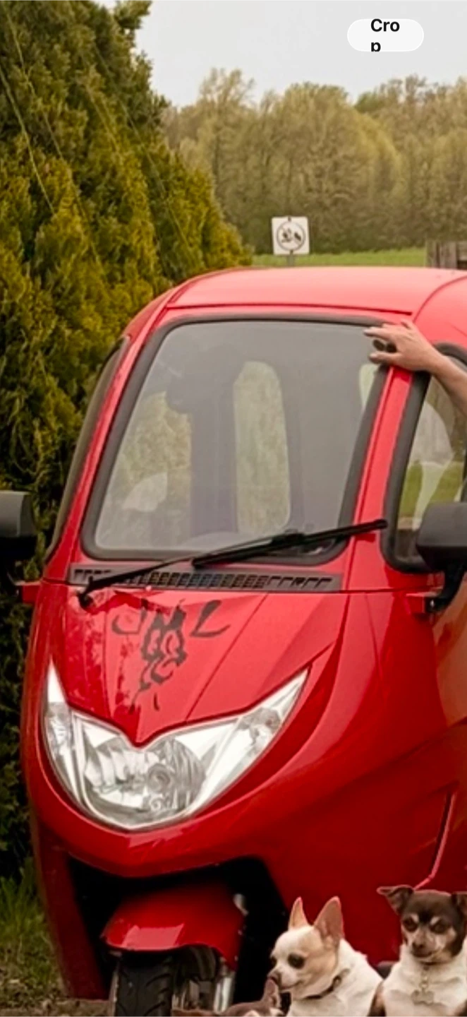 Enclosed 3-Wheel Electric Mobility Scooter - photo 2