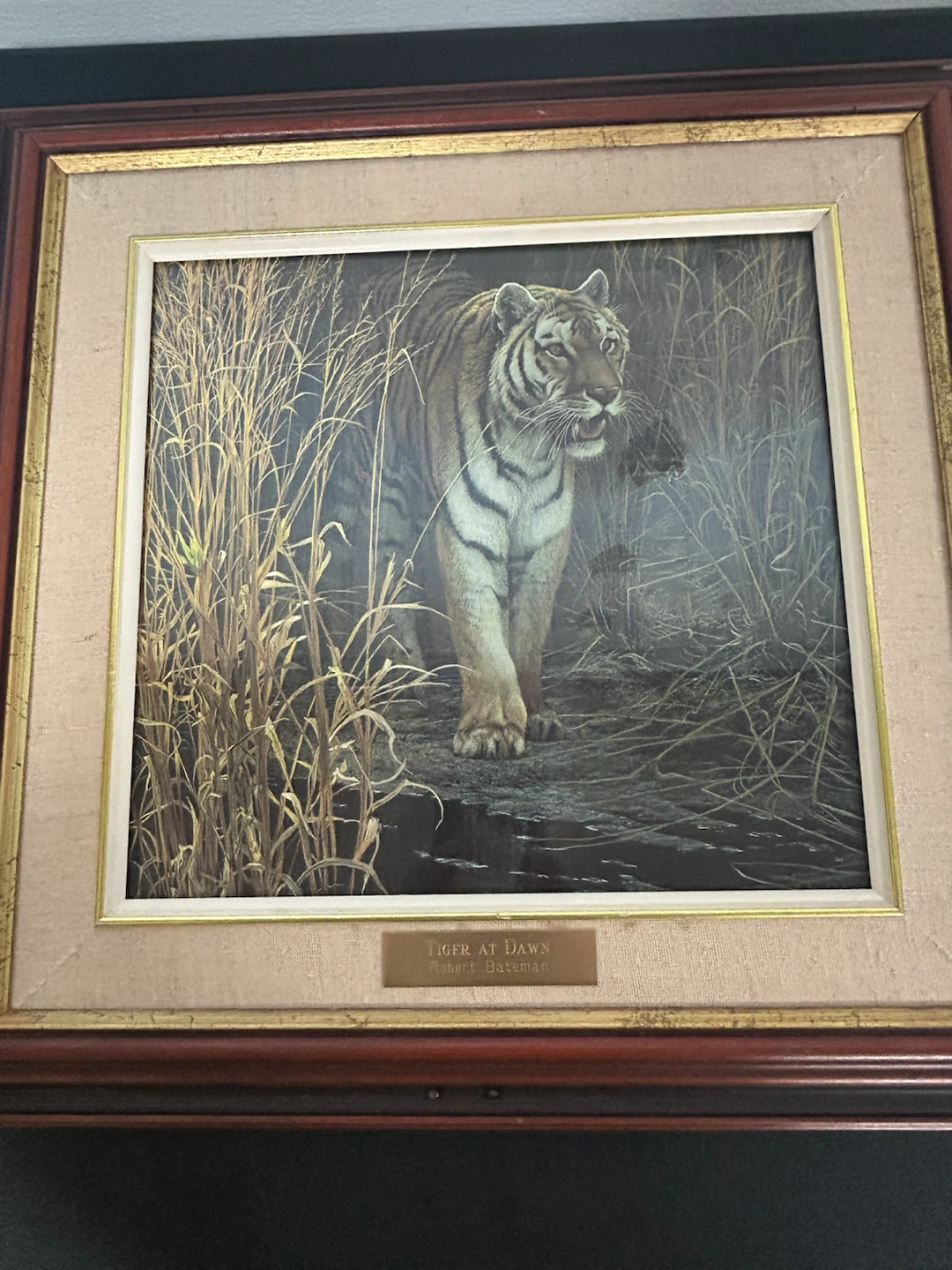 Robert Bateman Tiger at Dawn Framed Print