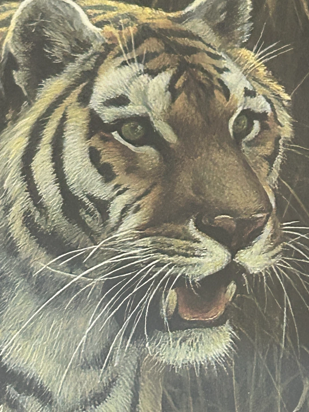 Robert Bateman Tiger at Dawn Framed Print - photo 4