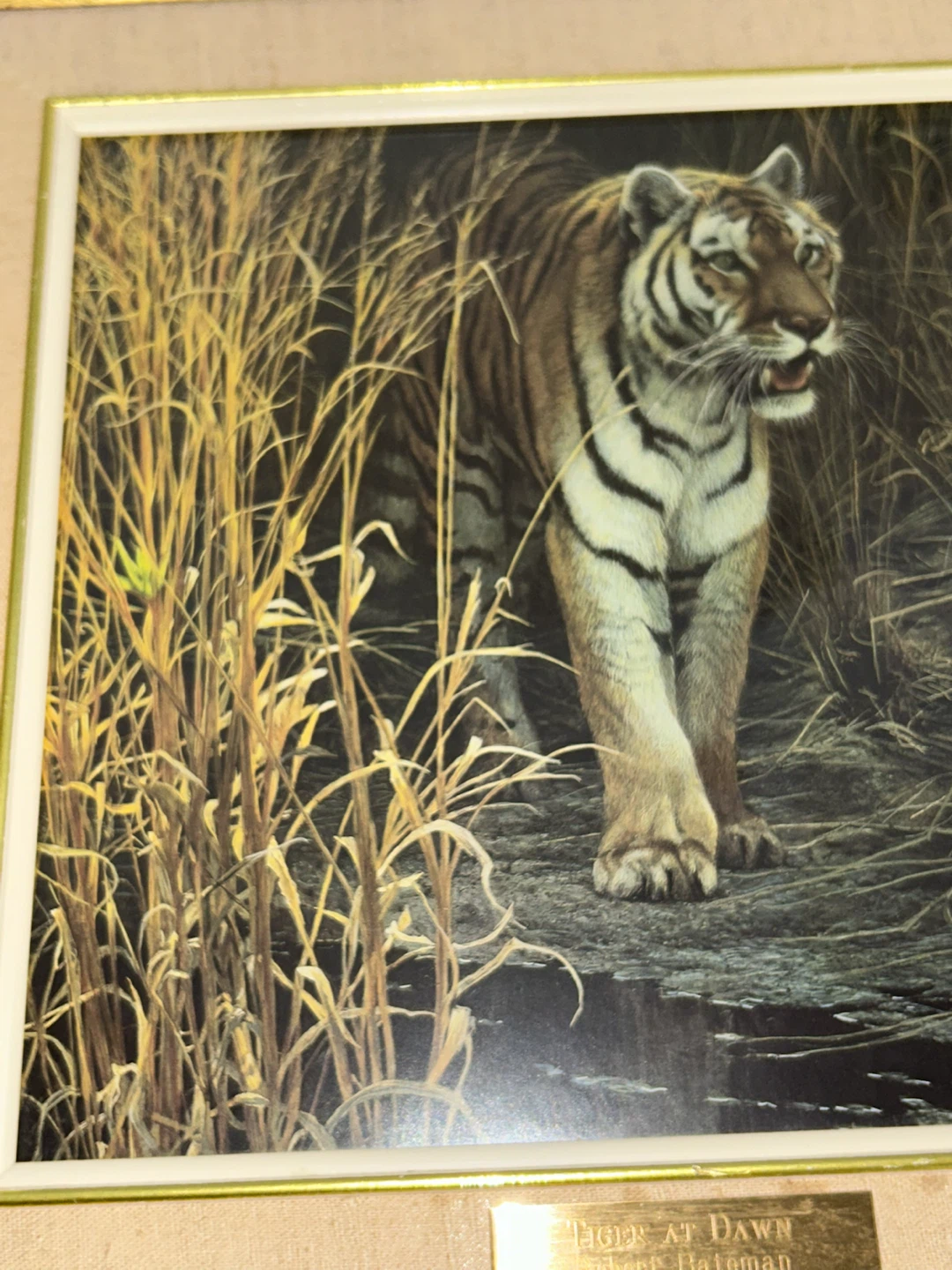 Robert Bateman Tiger at Dawn Framed Print - photo 5