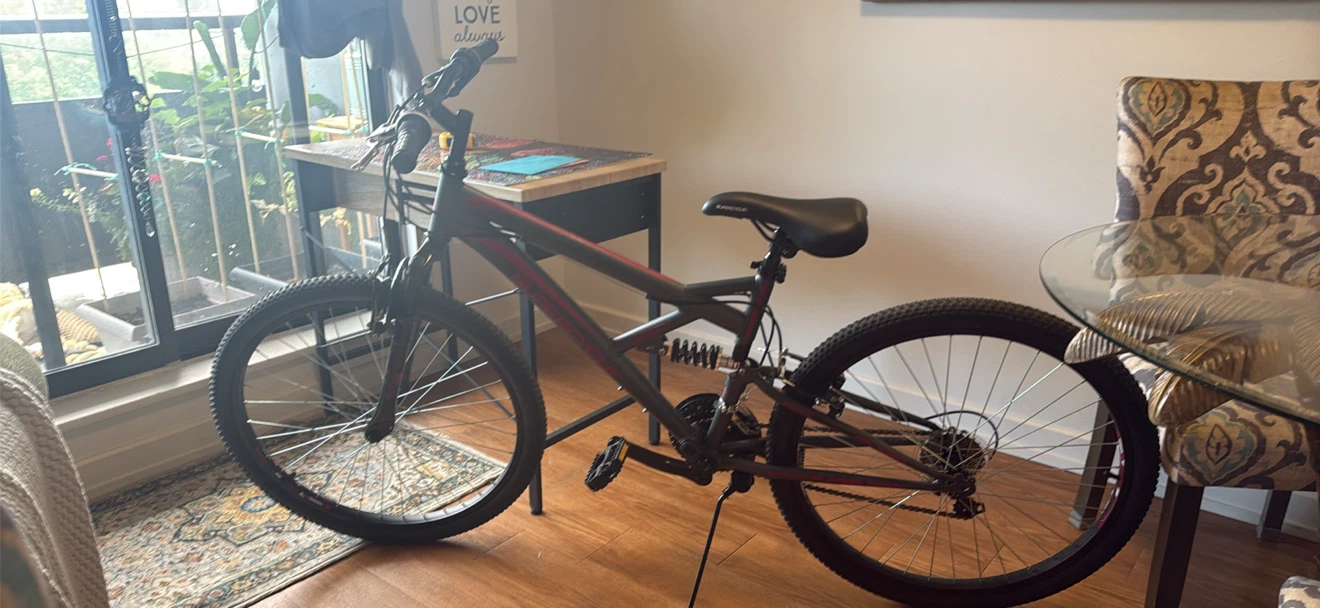 Brand new bike
