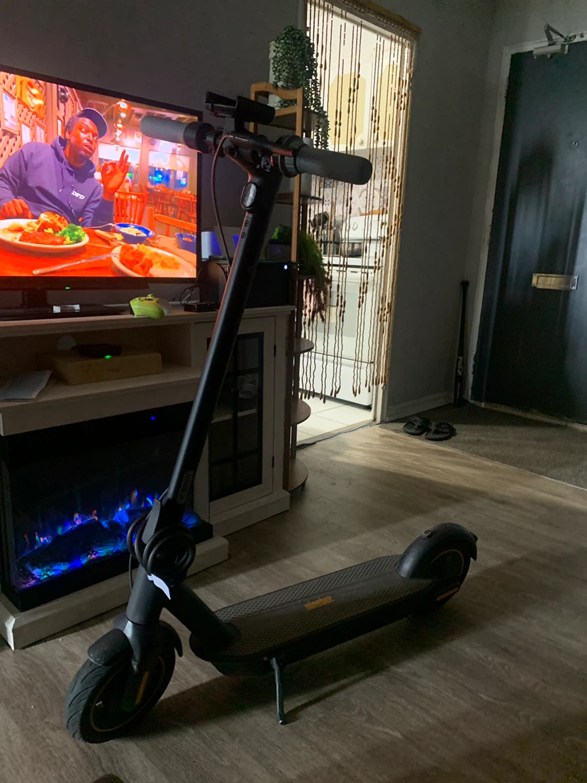 Ninebot Segway Electric Scooter
