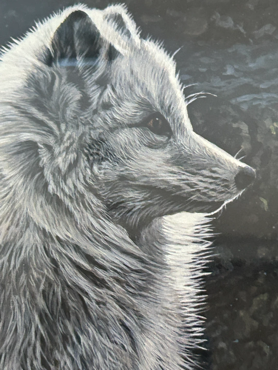 R.S. Parker Arctic Fox Limited Edition Print - photo 5