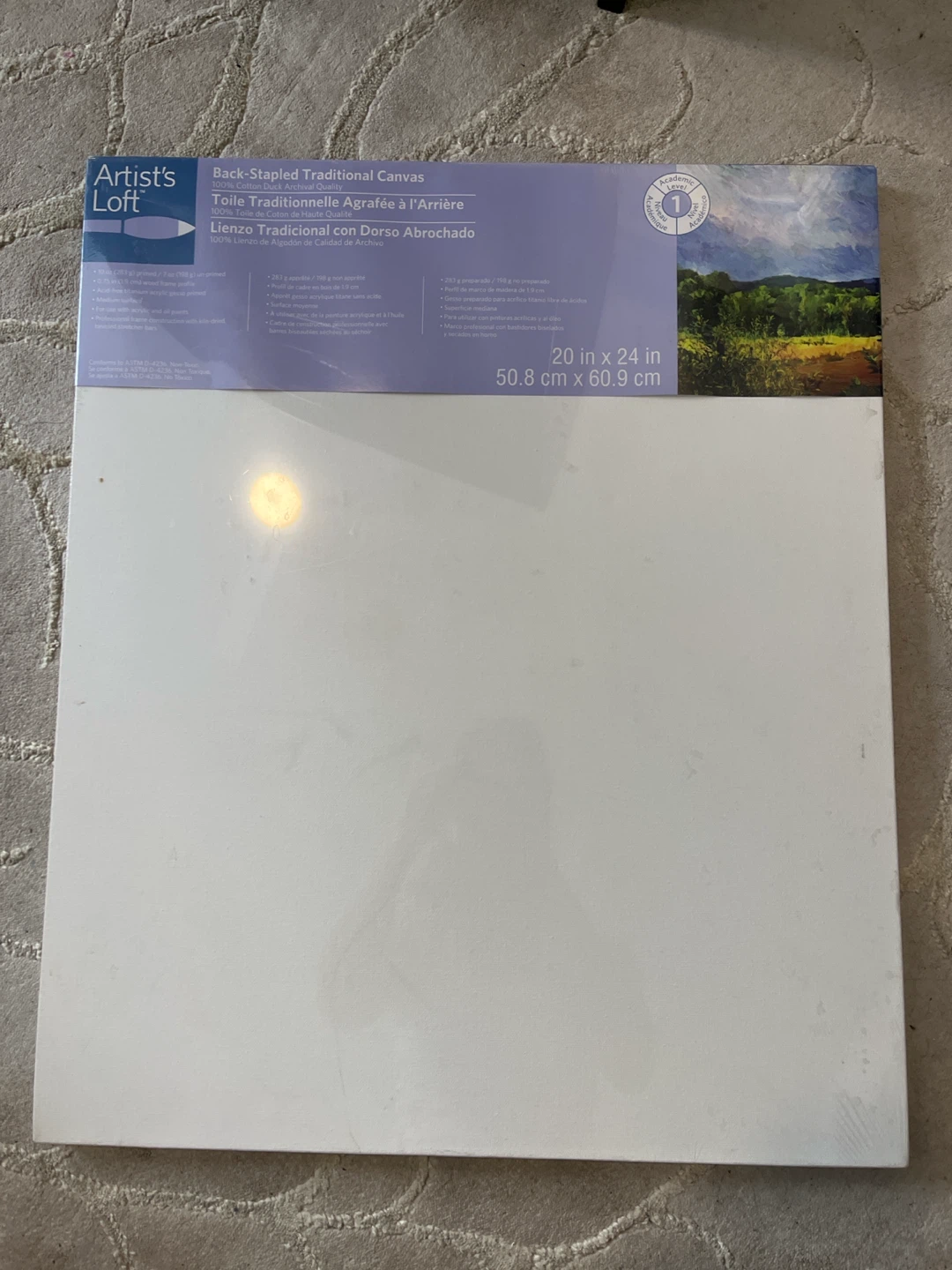 Artist's Loft Traditional Canvas 20 in x 24 in