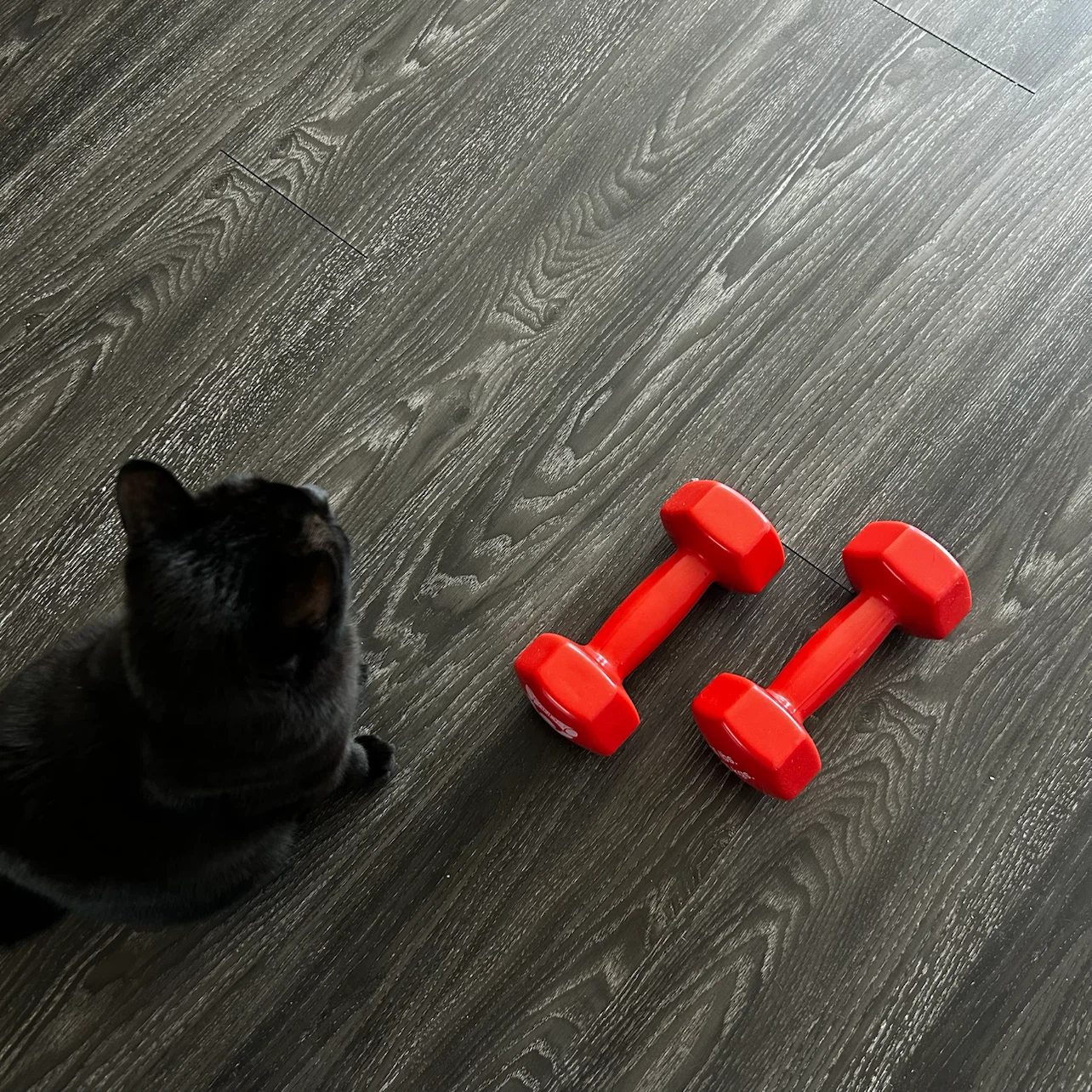 CanDo 10 lbs Dumbbells Set