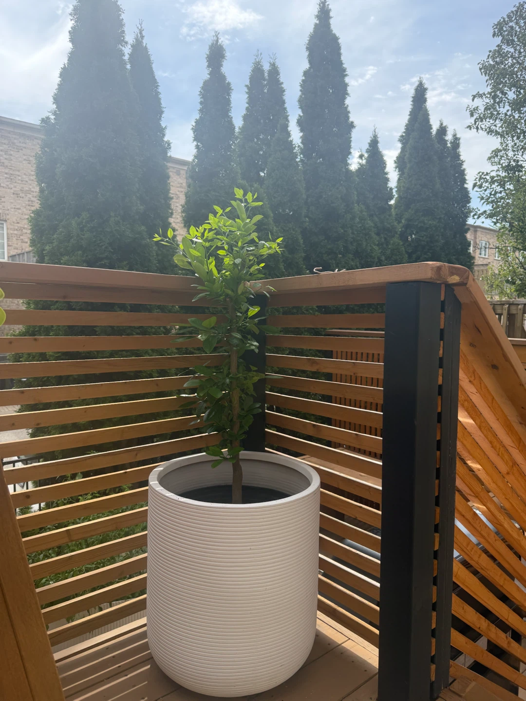 Large white CB2 planter