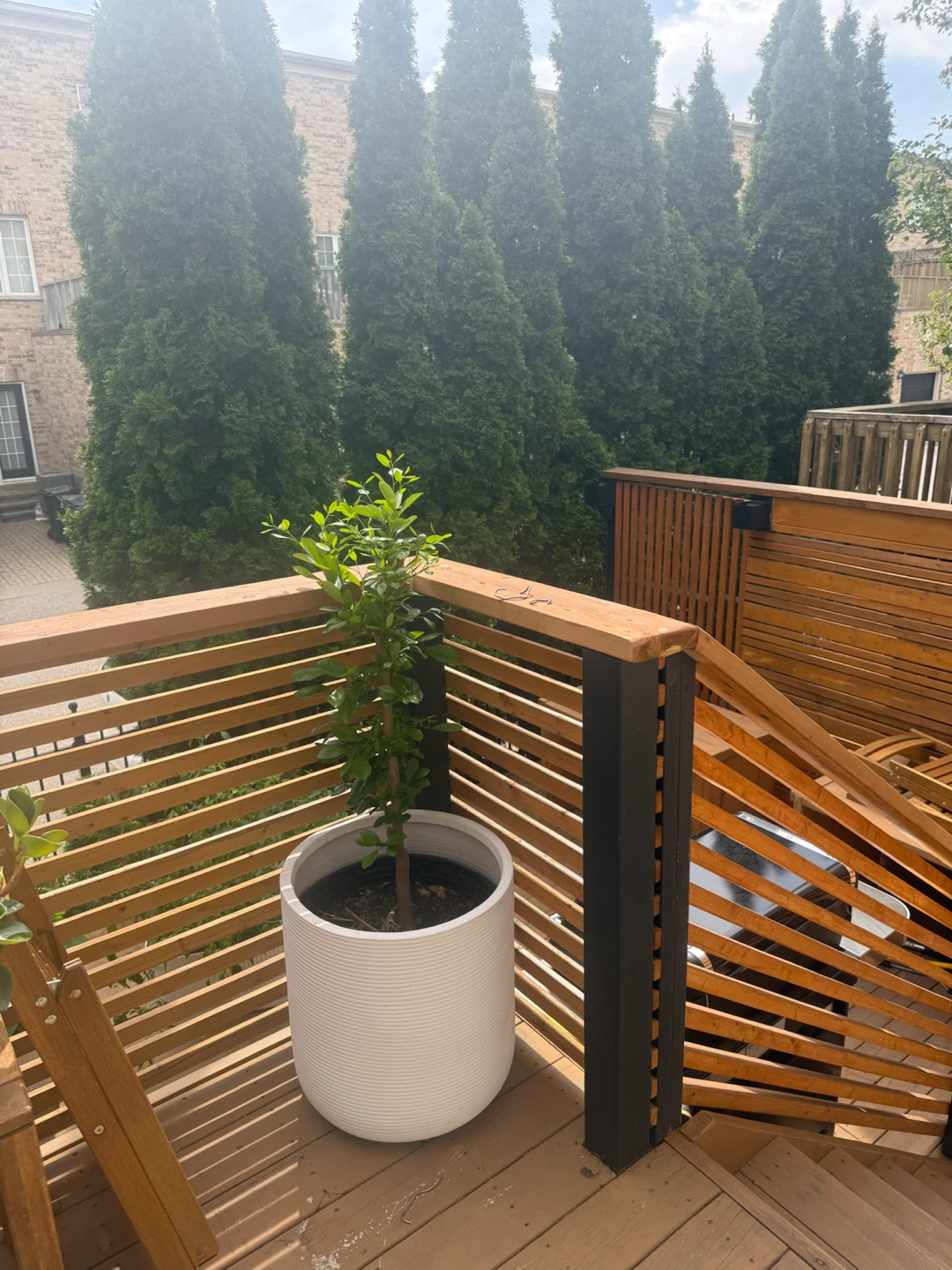 Large white CB2 planter - photo 2