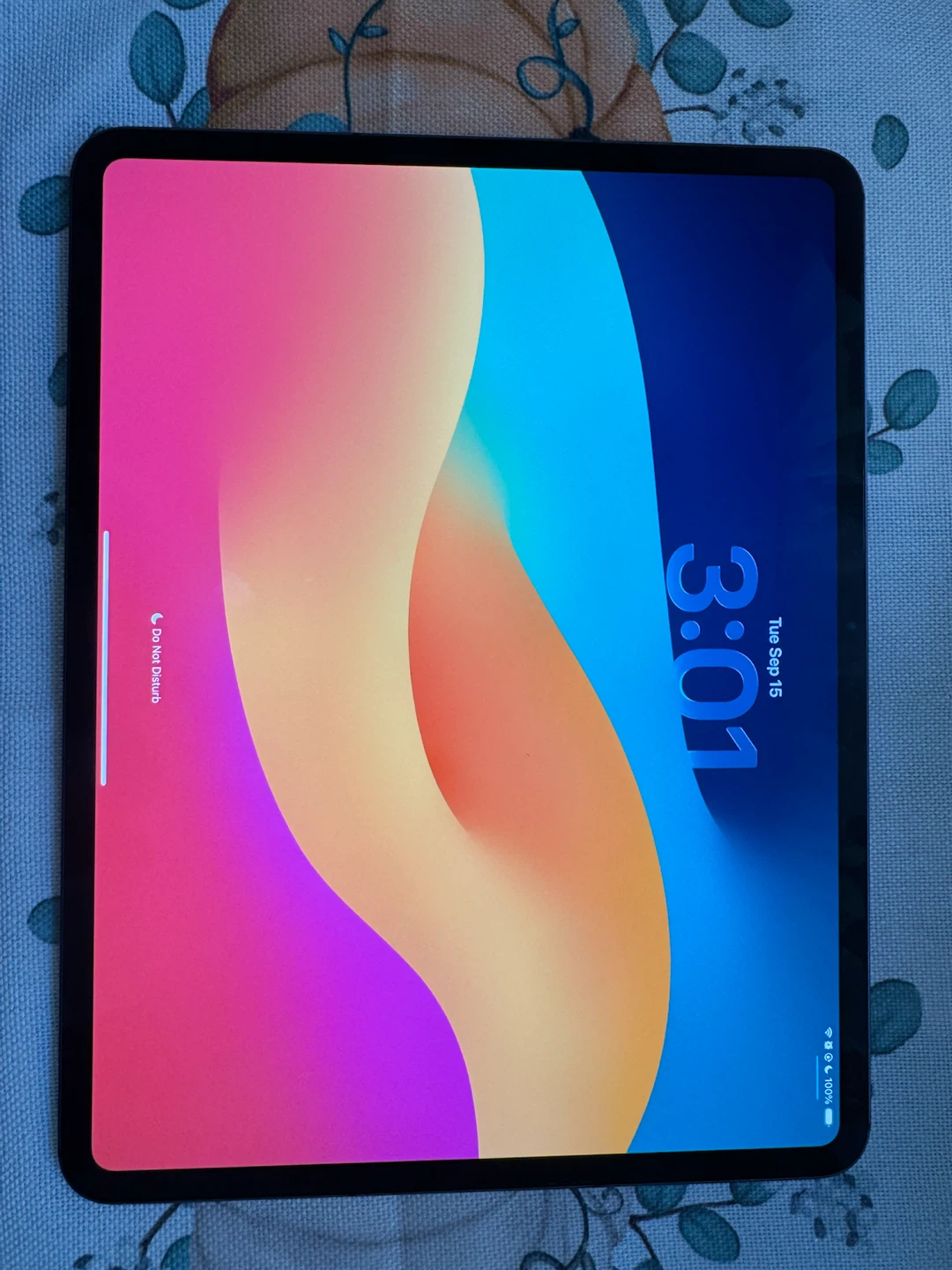 iPad Pro (M4) 13 inch | CELLULAR + WIFI - photo 2