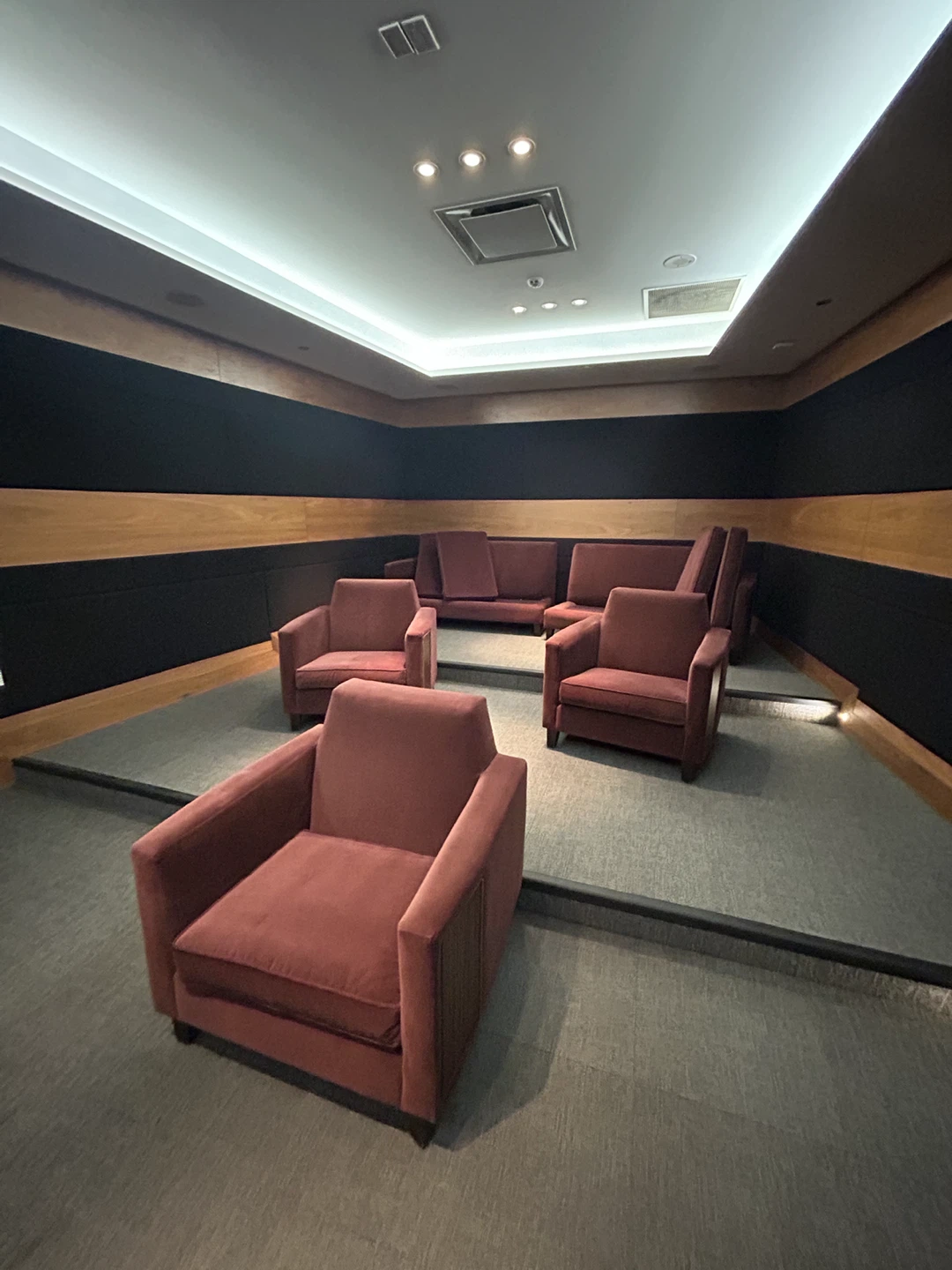 Plush Velvet Armchairs and Sofa