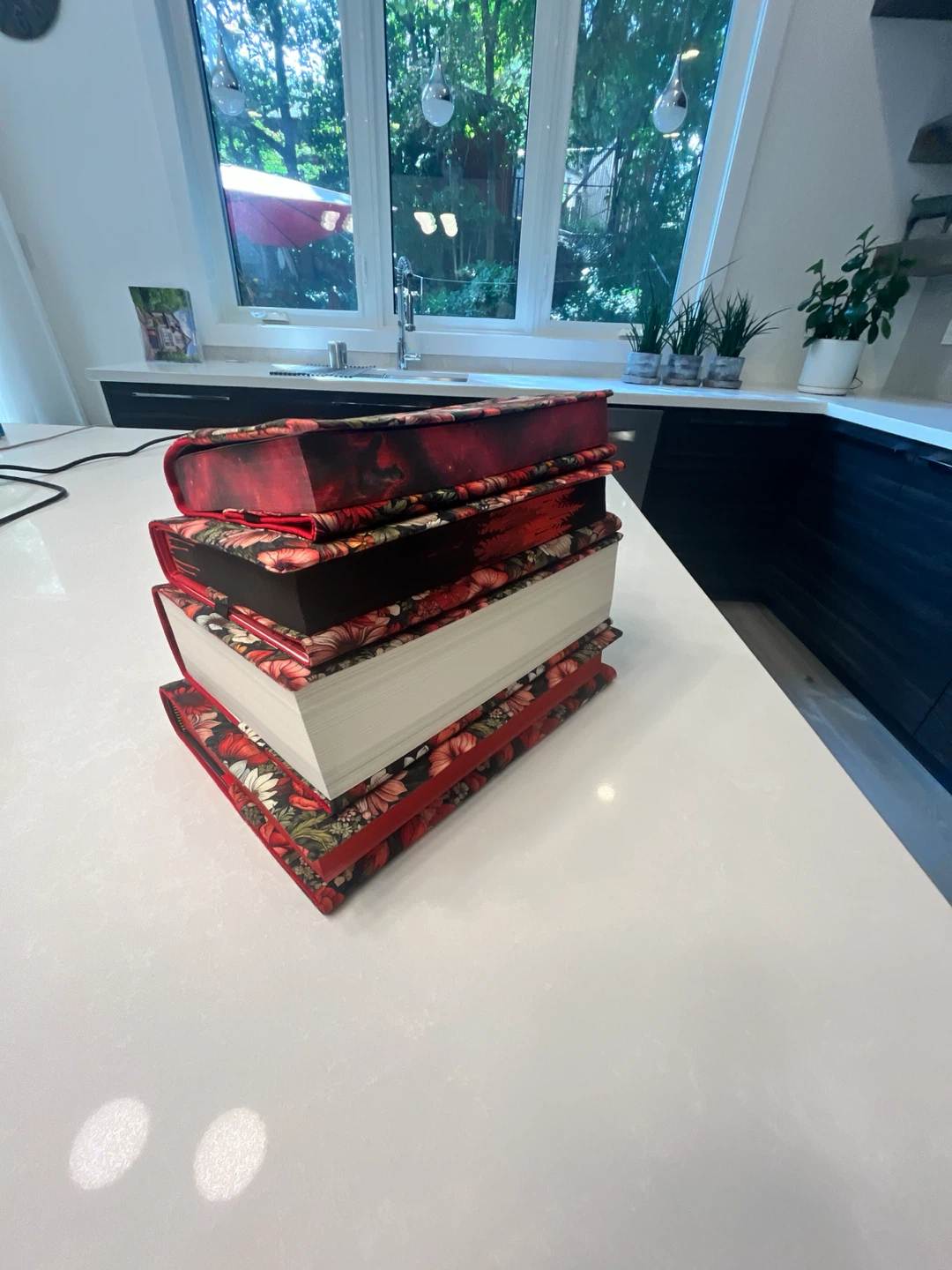 Book Cover - photo 5