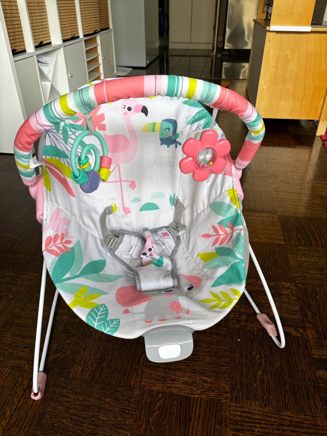 Bright Starts Baby Bouncer #freecycle - photo 2