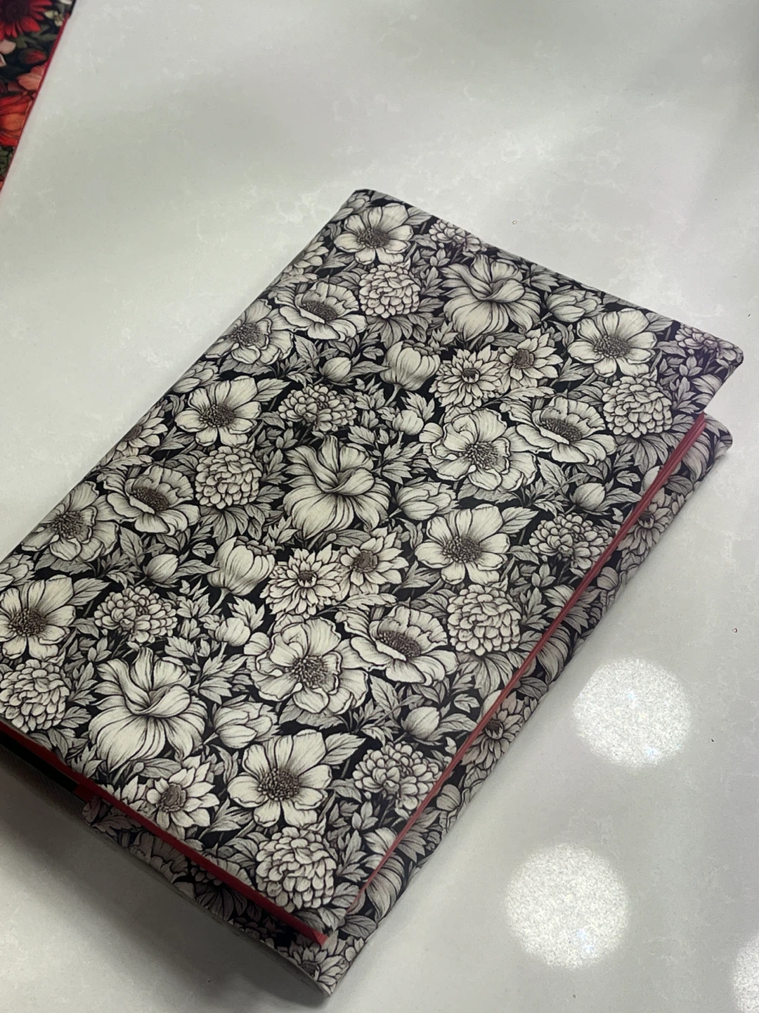 Book Cover - photo 2
