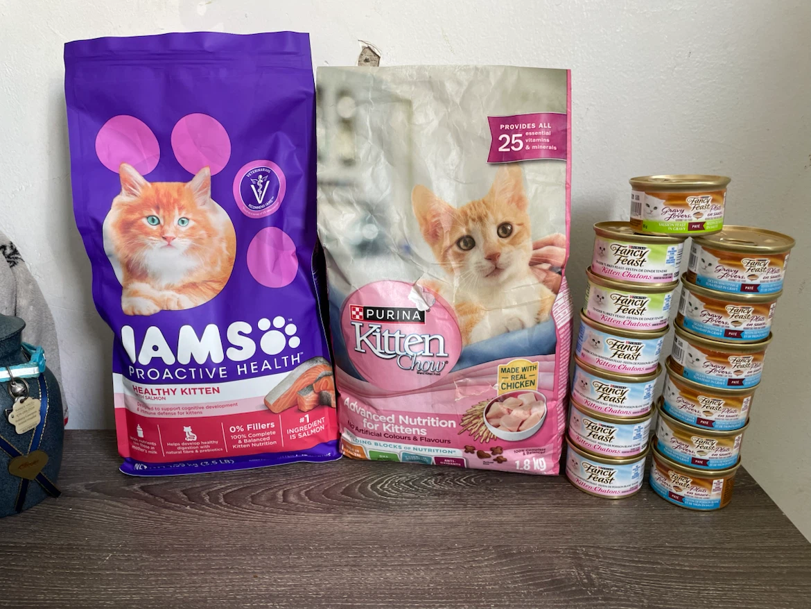 Kitten Wet & Dry Food Lot