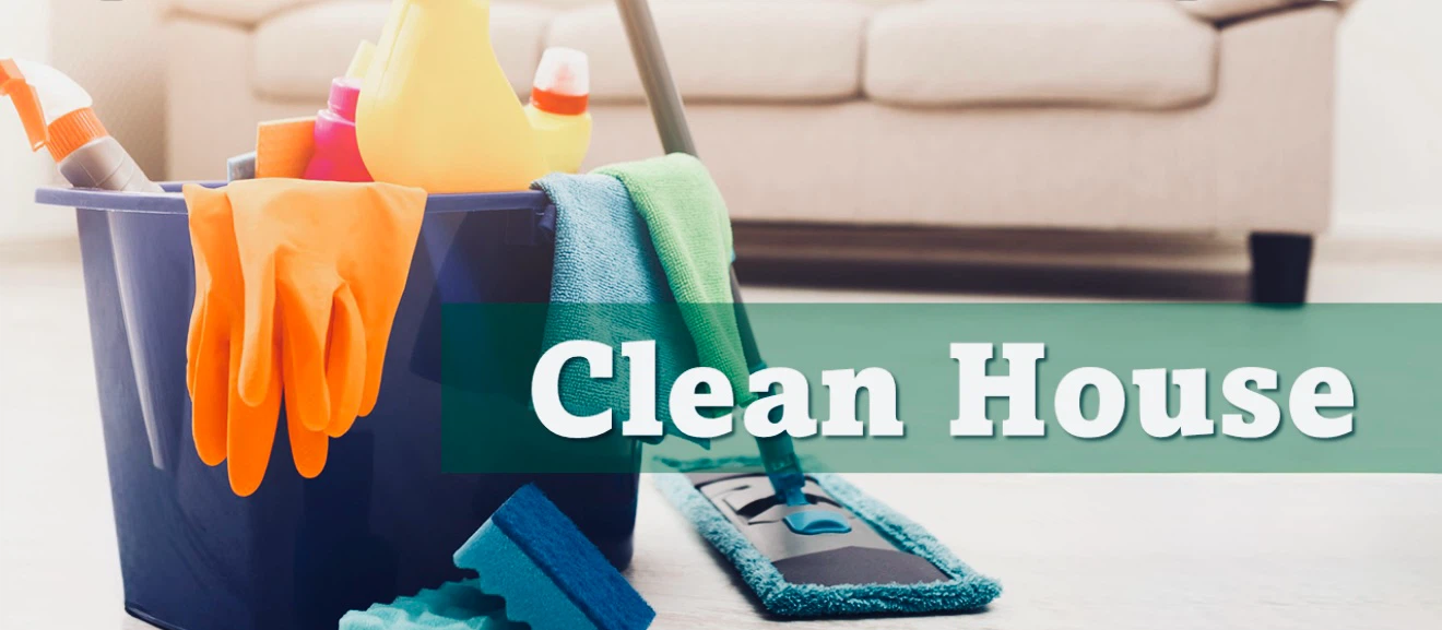 Household Cleaning services