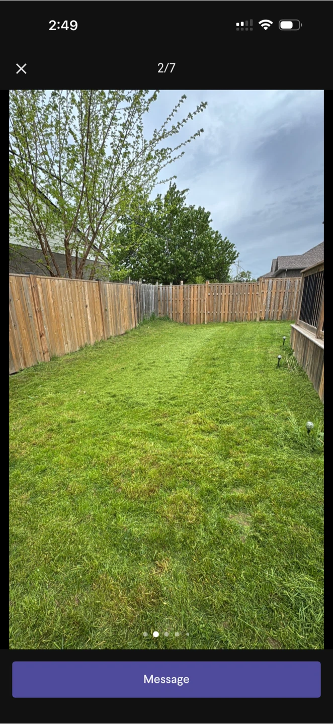 We cut grass - photo 2