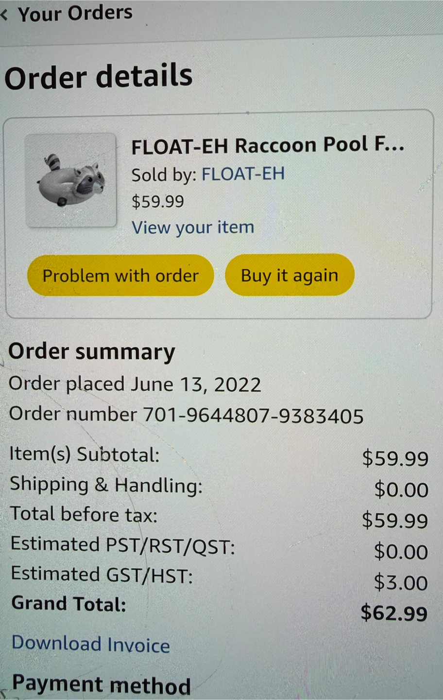 FLOAT-EH Raccoon Pool Float - photo 2